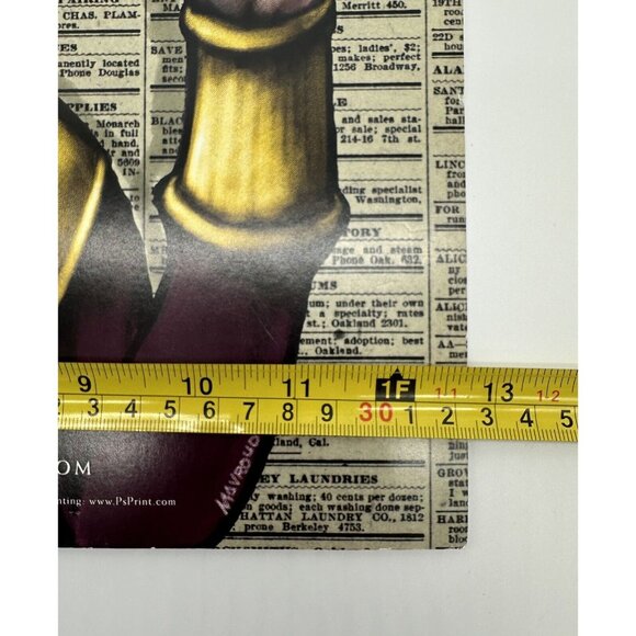 Hardly Strictly Bluegrass Poster 2011 John Mavroudis San Fransisco Moonalice - Picture 13 of 13